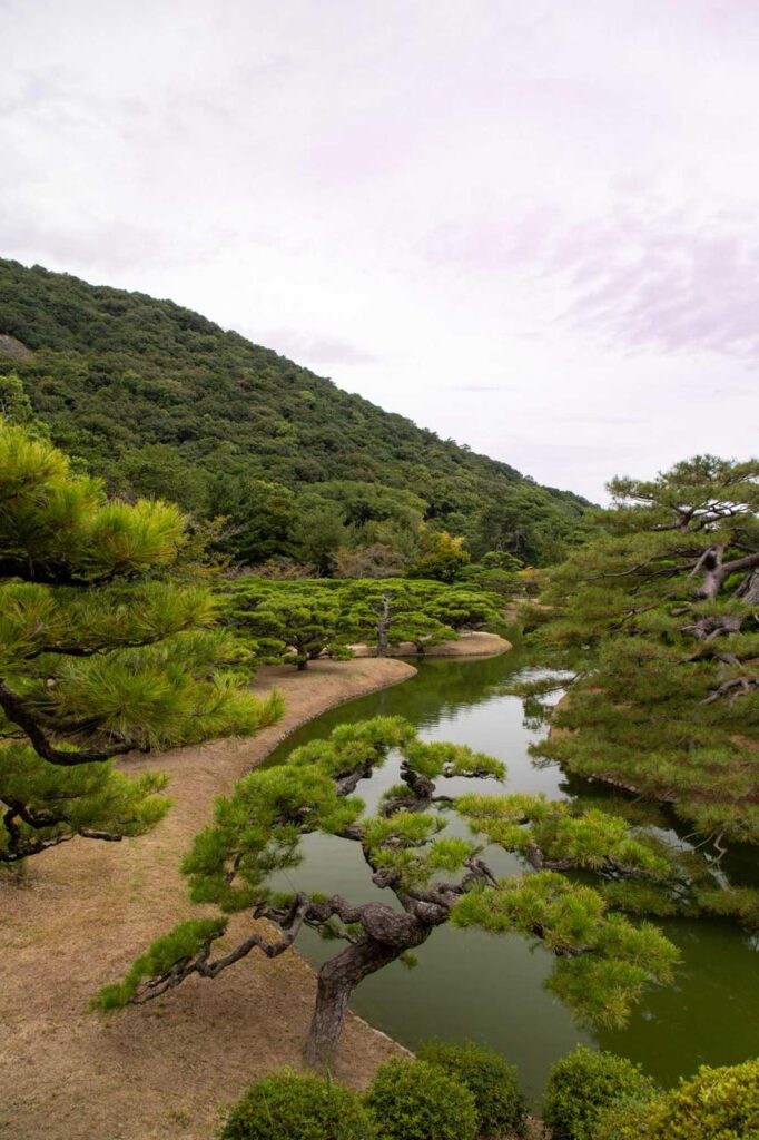 Reflet de Sérénité